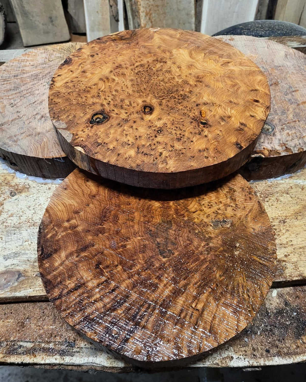 Moroccan Thuya Burl Craft & Turning Blanks